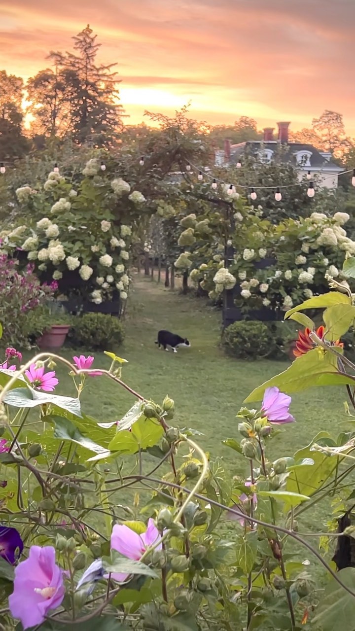 Recent Instagram photo from Stonegate Farm