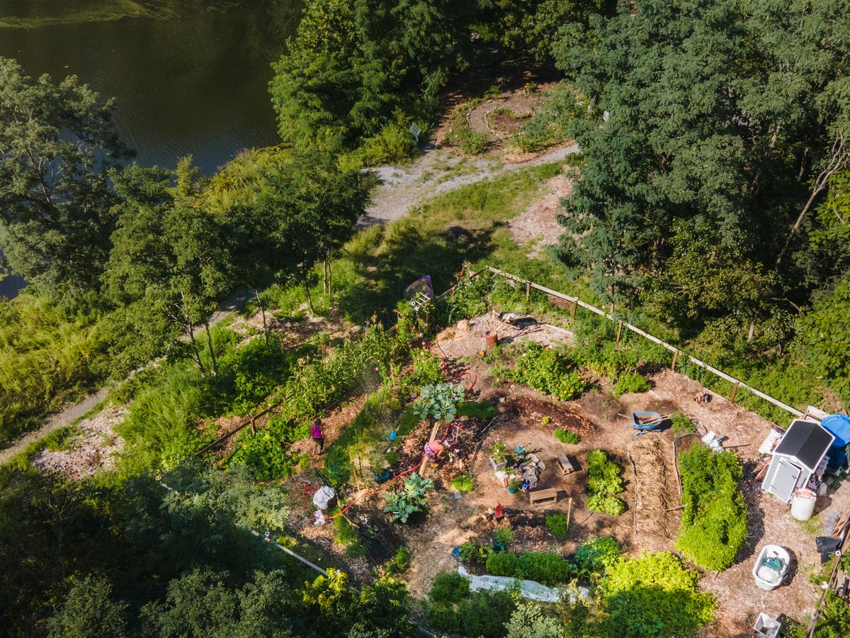 Fundraising image for The Sanctuary Healing Farm + Gardens