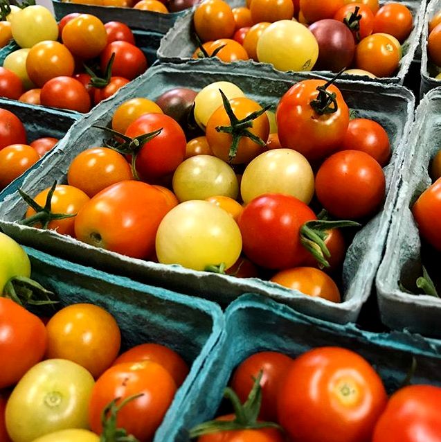 Garden and farm property image from Jones Farm